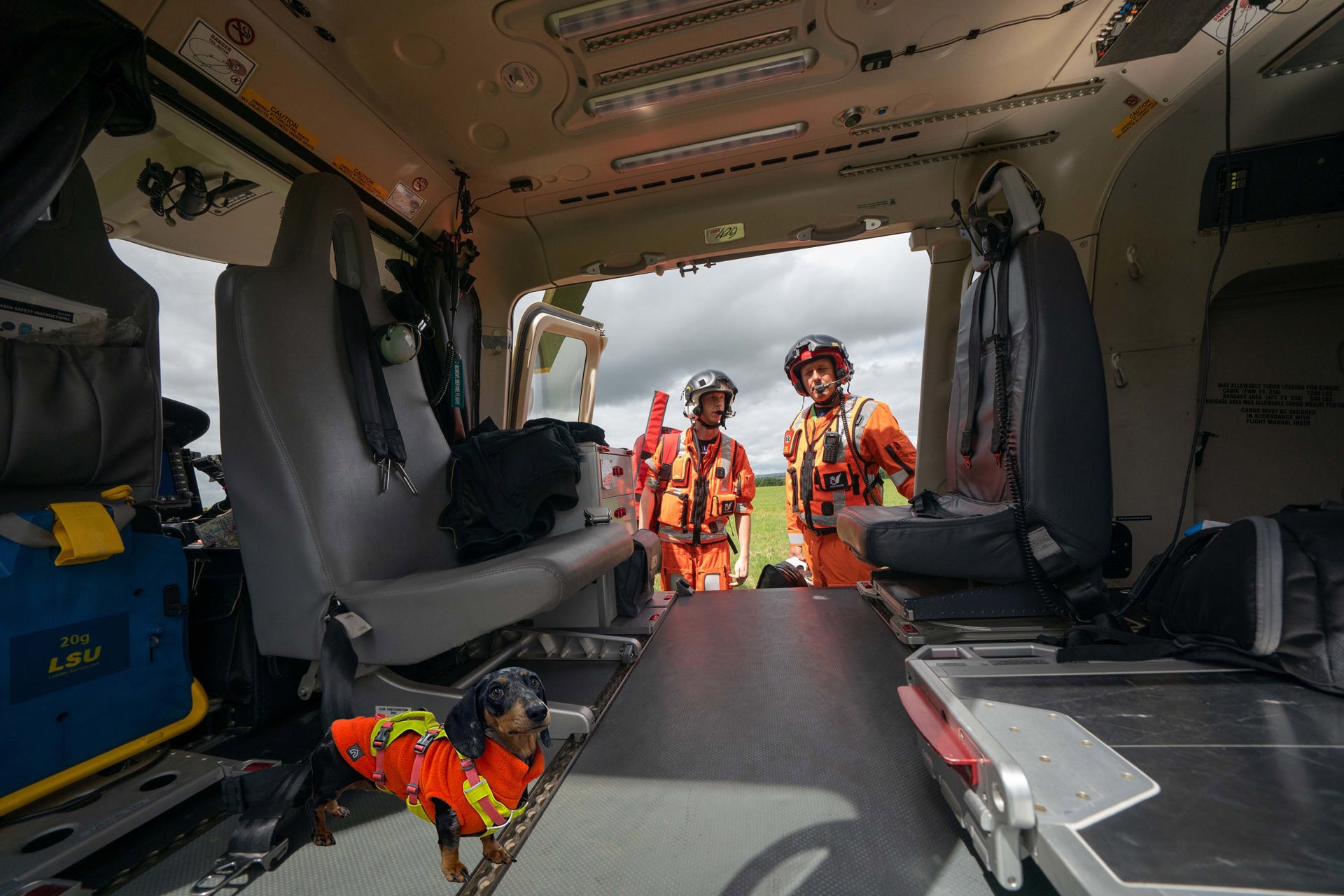 A photoshopped Dachshund wearing an orange flight suit in Wiltshire Air Ambulance's helicopter with two paramedics looking in
