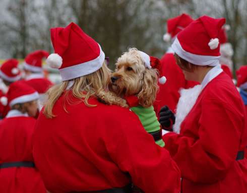 A group of people wearing red Santa suits, with one holding a dog dressed as an elf