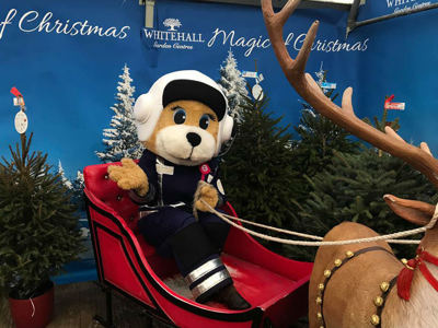 A teddy bear pilot mascot sat in a Santa's sleigh in front of Christmas trees.