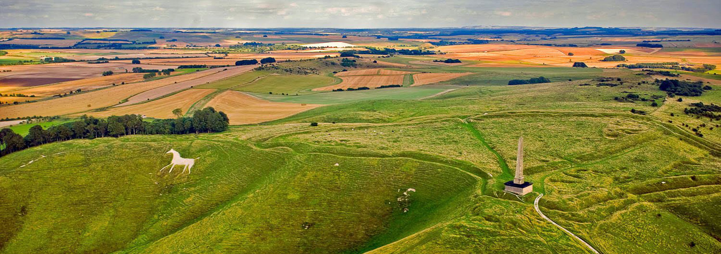 A panoramic aerial view of fields and white horse