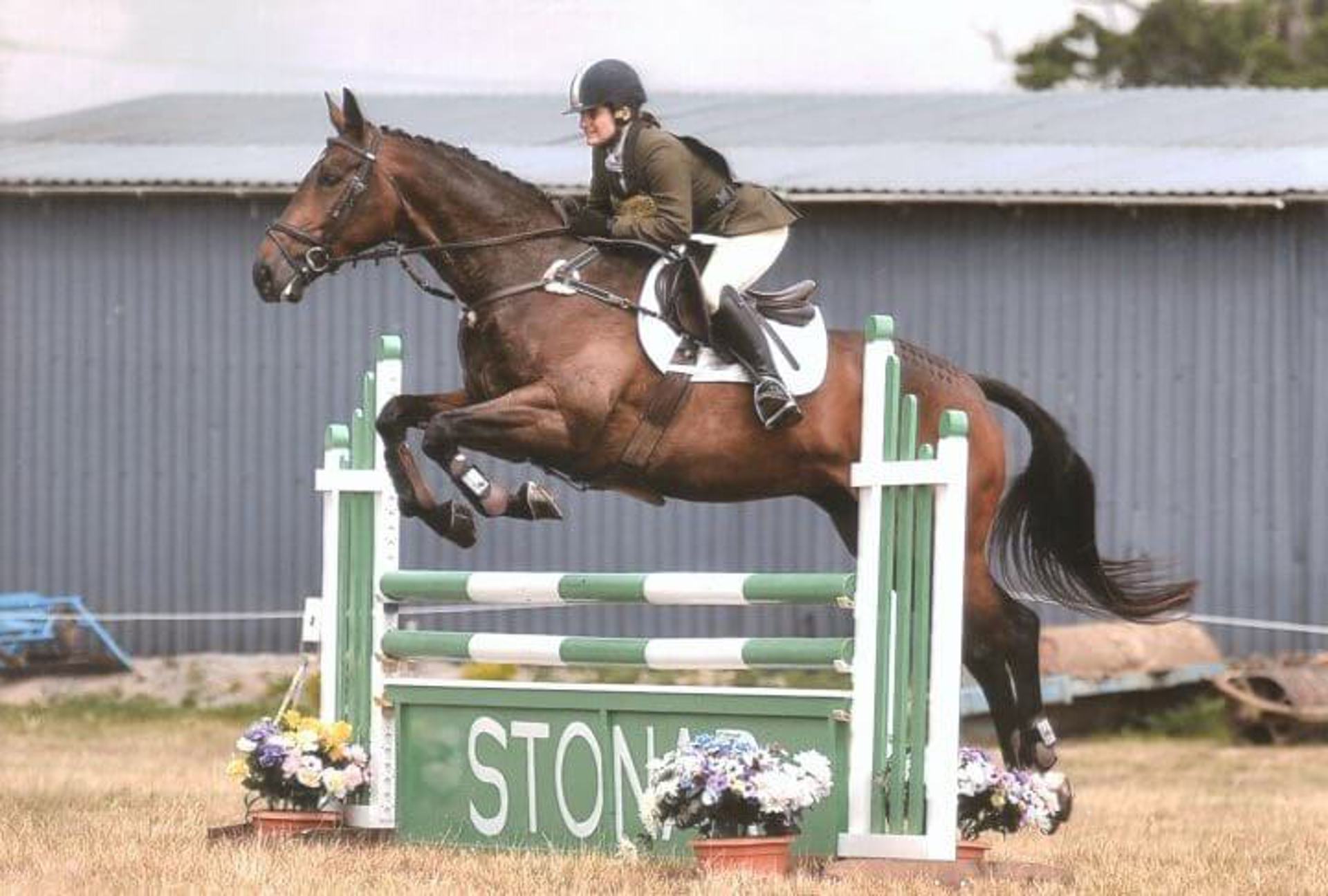 A horse rider jumping over a green fence