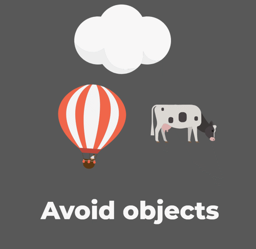 Avoid objects